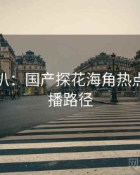 独家深扒：国产探花海角热点复盘传播路径