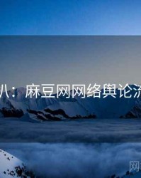 独家深扒：麻豆网网络舆论流量密码