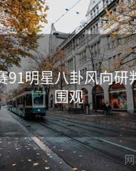 每日大赛91明星八卦风向研判，欢迎围观