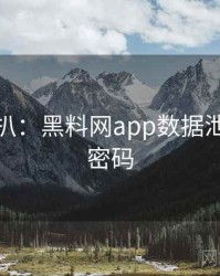 独家深扒：黑料网app数据泄露流量密码