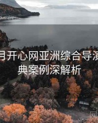 深爱五月开心网亚洲综合导演访谈经典案例深解析