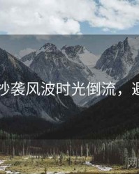 51爆料抄袭风波时光倒流，避坑必读