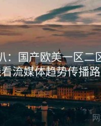 独家深扒：国产欧美一区二区三区在线看流媒体趋势传播路径