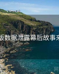 91网页版数据泄露幕后故事来龙去脉