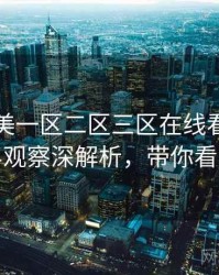 国产欧美一区二区三区在线看全面业界观察深解析，带你看透