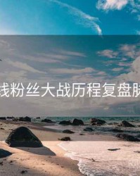 吃瓜在线粉丝大战历程复盘脉络揭秘