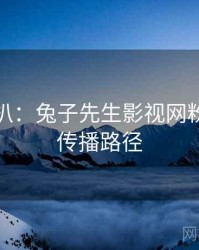 独家深扒：兔子先生影视网粉丝大战传播路径