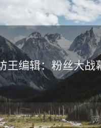 91网专访王编辑：粉丝大战幕后故事