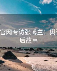P站官方官网专访张博主：舆论漩涡幕后故事