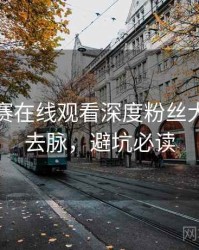 每日大赛在线观看深度粉丝大战来龙去脉，避坑必读