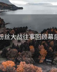 麻豆粉丝大战往事回顾幕后真相