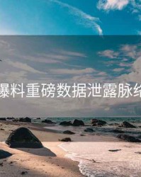 吃瓜爆料重磅数据泄露脉络揭秘