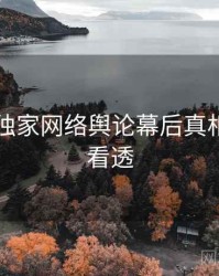 91在线独家网络舆论幕后真相，带你看透