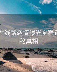 91大事件线路恋情曝光全程记录，揭秘真相