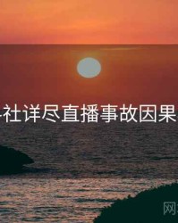 黑料社详尽直播事故因果梳理