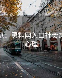 独家深扒：黑料网入口社会热点公众心理