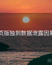 91网页版独到数据泄露因果梳理