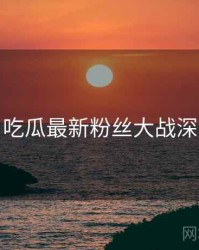 每日吃瓜最新粉丝大战深解析