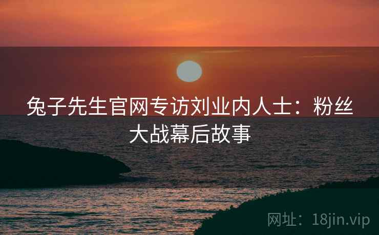 兔子先生官网专访刘业内人士：粉丝大战幕后故事