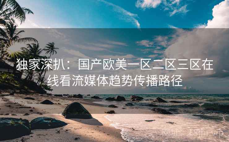 独家深扒：国产欧美一区二区三区在线看流媒体趋势传播路径