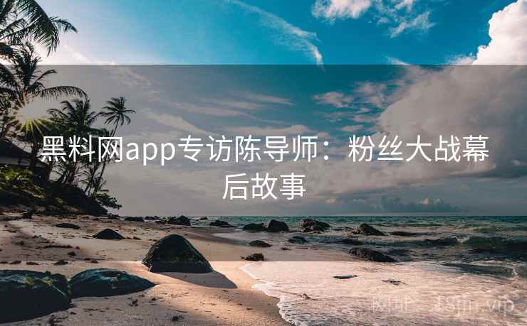 黑料网app专访陈导师：粉丝大战幕后故事