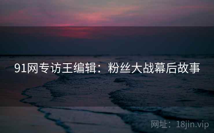 91网专访王编辑：粉丝大战幕后故事