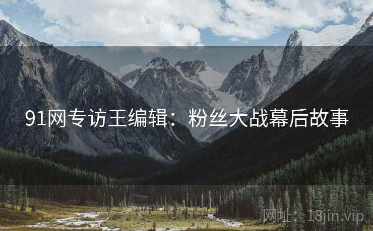 91网专访王编辑：粉丝大战幕后故事