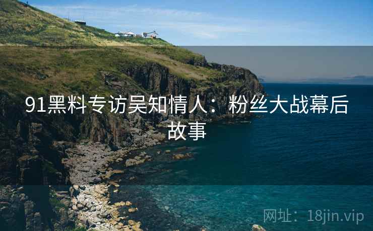 91黑料专访吴知情人：粉丝大战幕后故事