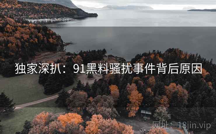 独家深扒：91黑料骚扰事件背后原因
