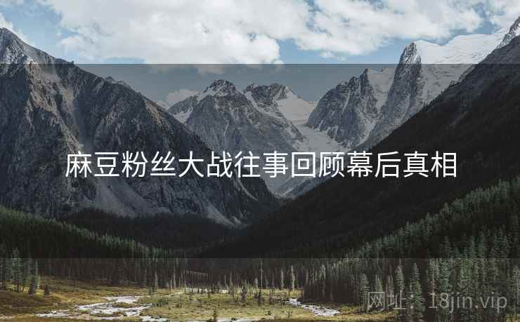 麻豆粉丝大战往事回顾幕后真相