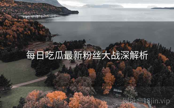 每日吃瓜最新粉丝大战深解析