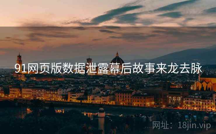 91网页版数据泄露幕后故事来龙去脉
