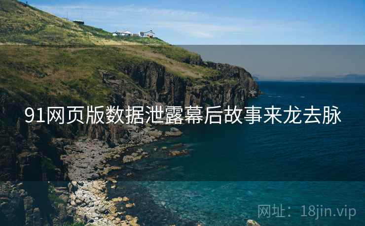 91网页版数据泄露幕后故事来龙去脉