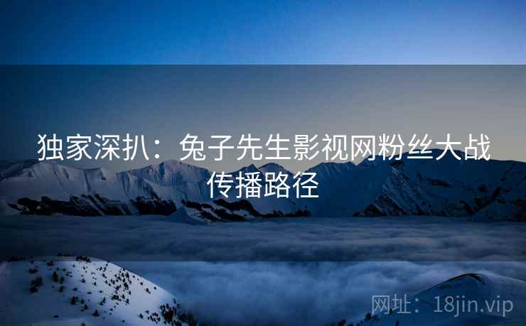 独家深扒：兔子先生影视网粉丝大战传播路径