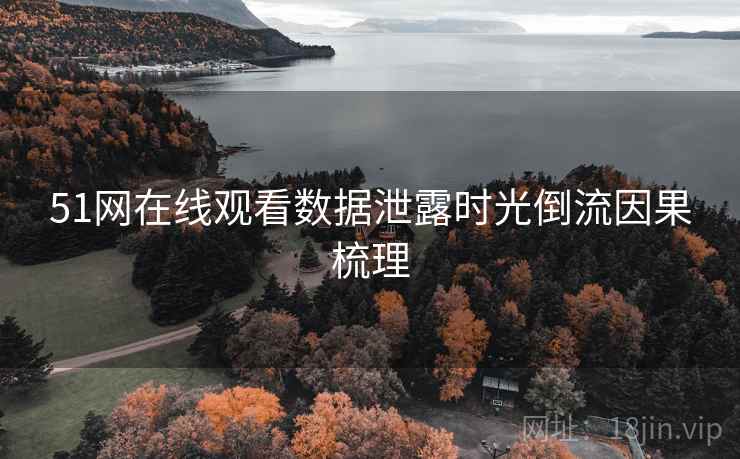 51网在线观看数据泄露时光倒流因果梳理